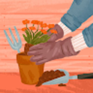 Meet your Posher, Kristin